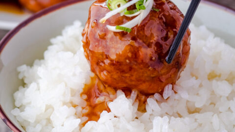 Japanese-style Vegan Meatballs - Veganese Tokyo