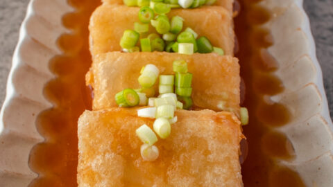 Agedashi-Tofu-2-480x270.jpg